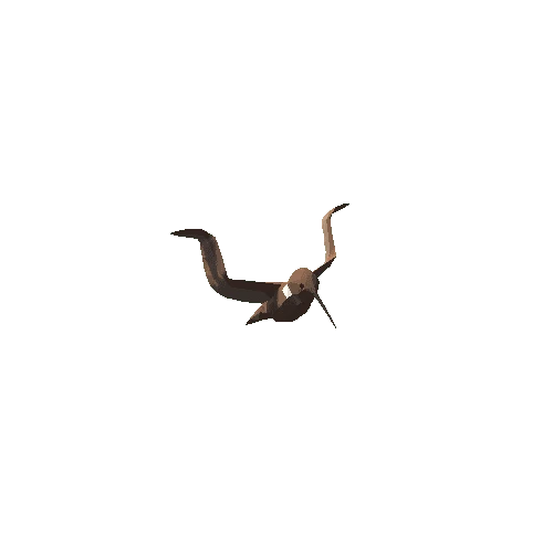 03_Low Poly Hummingbird Variant